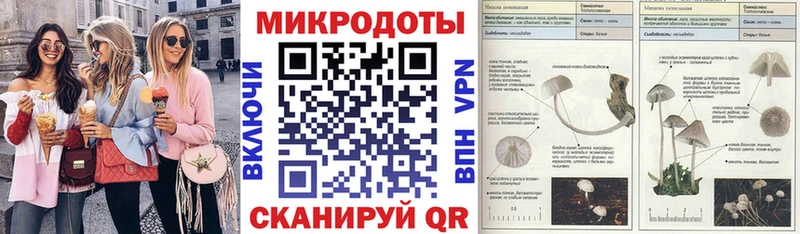 Галлюциногенные грибы Psilocybine cubensis  Купить где  Кедровый 