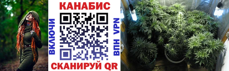 Конопля Bruce Banner  Купить закладки  Кедровый 